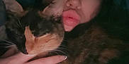 Lilly Billy is registered to the contest to win money with this photo: person, cat, calico_cat, hand, blanket, face, pout, sleeping, indoors, cozy, dark, closeup, snuggling, feline, pet, warm, comfort, nighttime, soft, intimate
