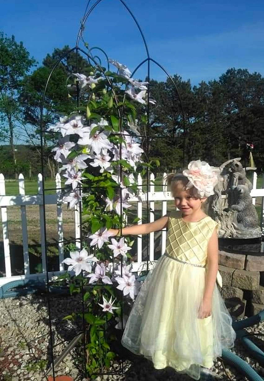 Payzlee joined the competition — help win amazing prizes! event, floral_design, floristry, flower, flower_arranging, flowering_plant, formal_wear, garden, gown, grass, happy, joy, leisure, person, petal, plant, pole, sky, tree, vintage_clothing