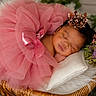 Ja'Sandra joined the competition — help win amazing prizes! baby, newborn, sleeping, pink_tutu, crown, basket, pillow, flowers, flower_arrangement, soft_texture, portrait, cute, infant, resting, decorative, headwear, cozy, closeup, indoors, peaceful