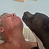man, dog, couch, indoor, affection, pet, skin, face, tongue, interaction, love, human, animal, friendship, happy, relaxation, home, casual, senior, comfort