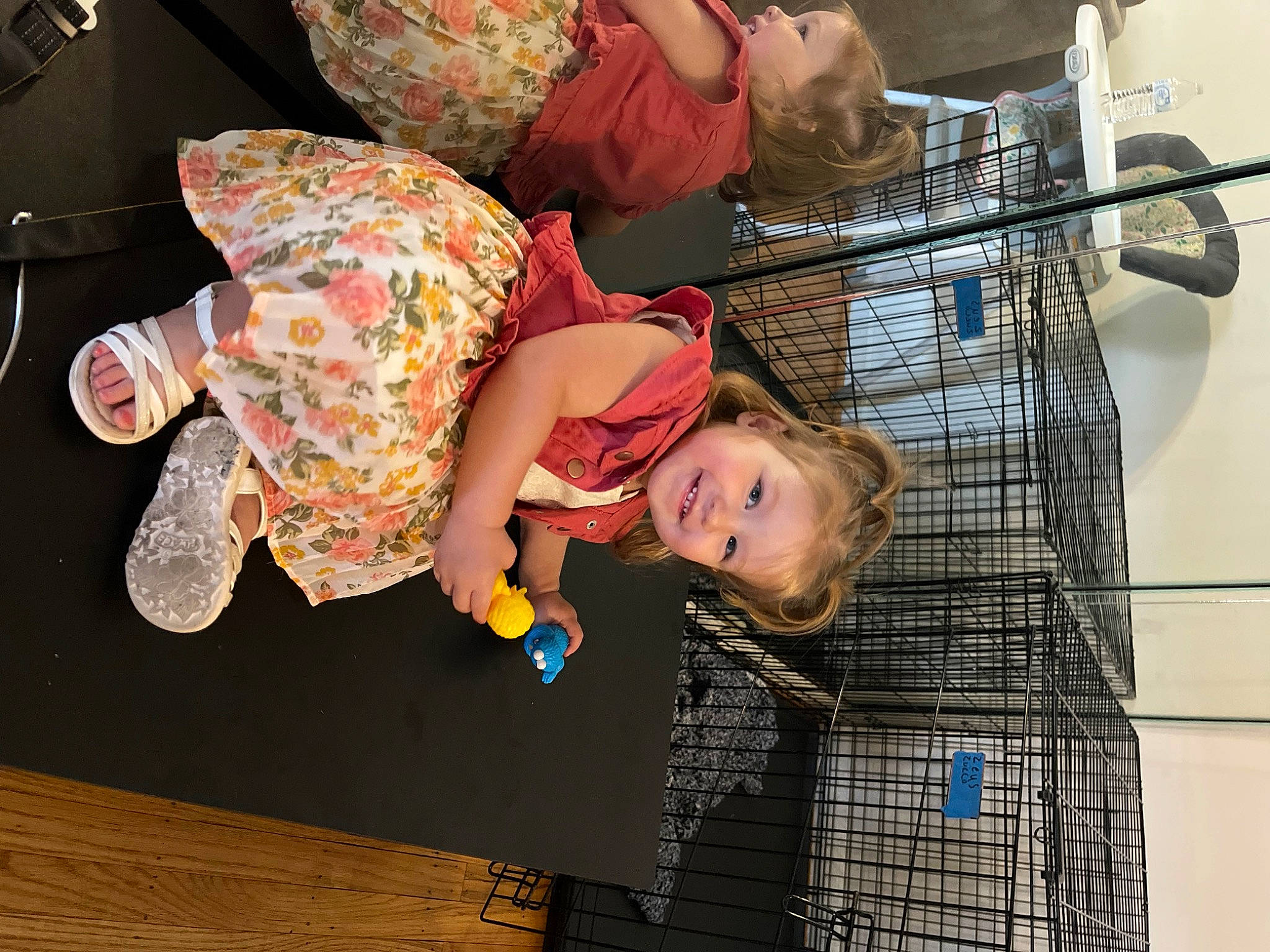 Briella is registered to the contest to win money with this photo: baby_products, child, fun, happy, hat, joy, leisure, pattern, person, room, smile, toddler, tree, vacation, wood