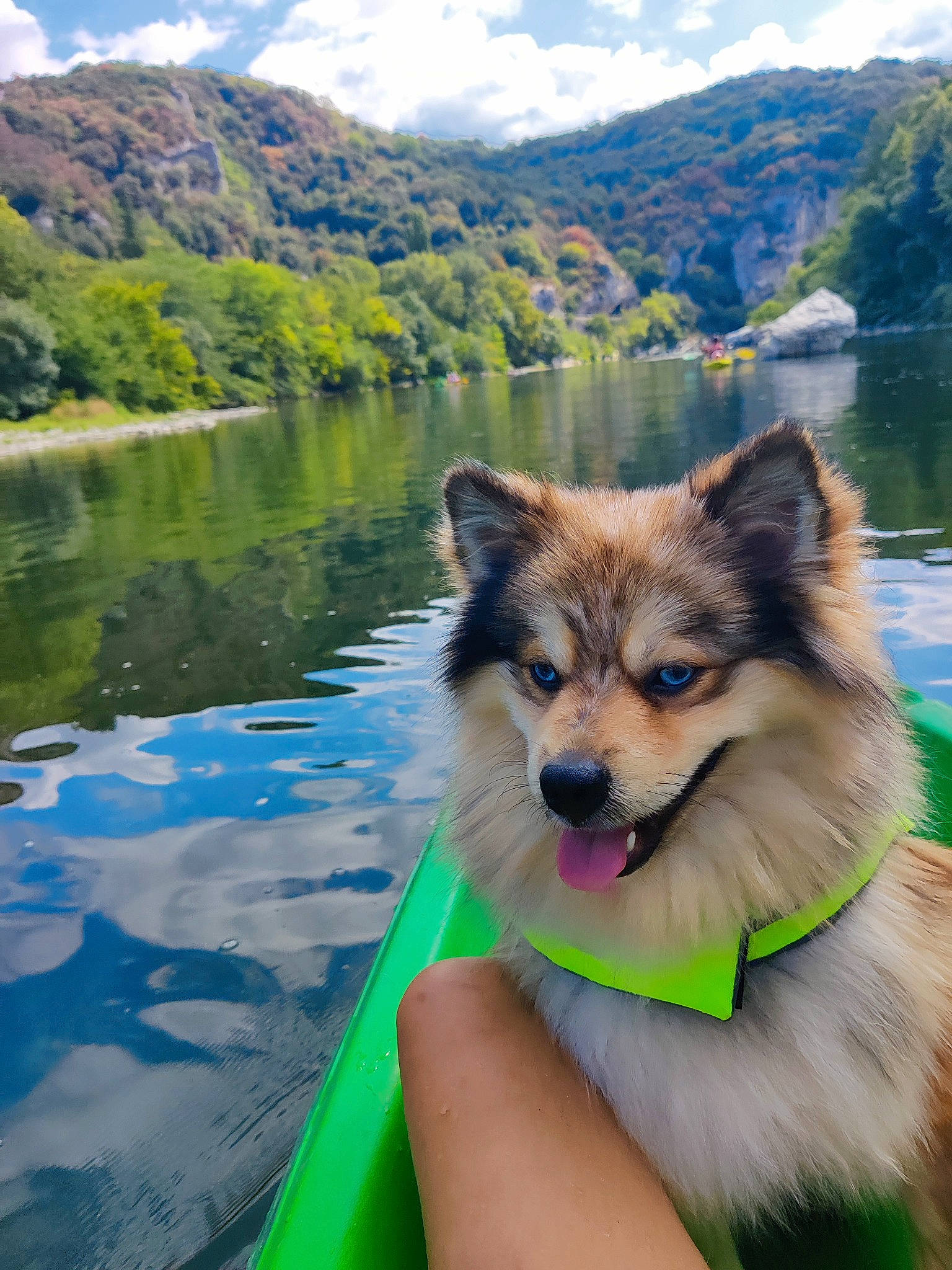 Liam participe au concours pour gagner de l'argent avec cette photo : carnivore, cloud, companion_dog, dog, dog_breed, fawn, grass, green, lake, leisure, mountain, mountain_range, natural_landscape, plant, recreation, sky, spitz, summer, tree, water