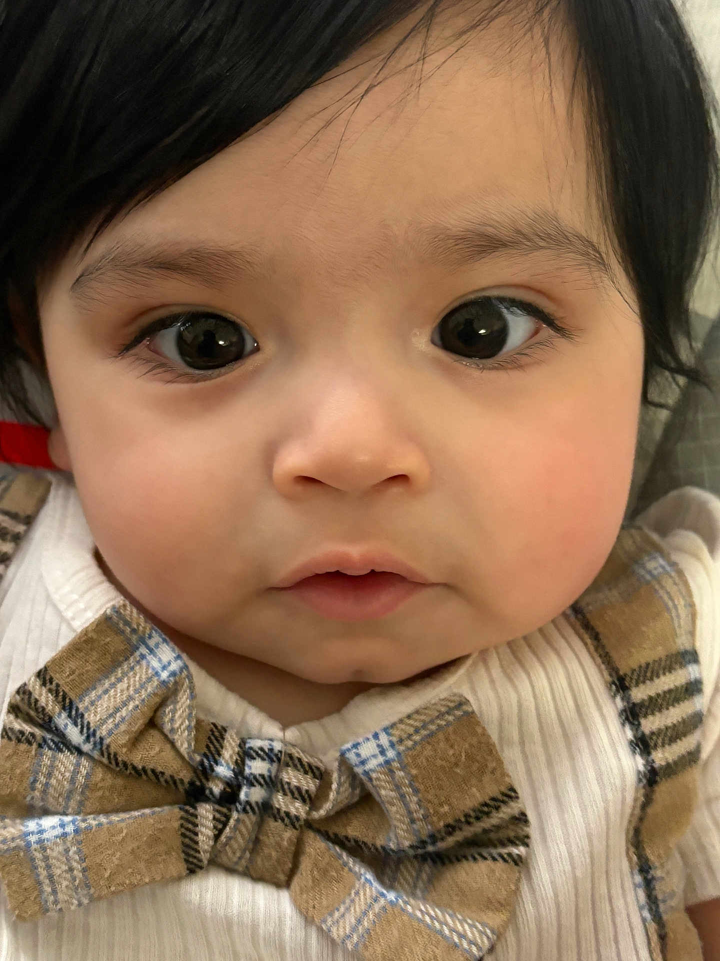 Dante is registered to the contest to win money with this photo: apparel, baby, bow_tie, child, close_up, clothing, curly_hair, cute, expression, eyes, face, fashion, head, indoor, infant, person, plaid, portrait, skin, young