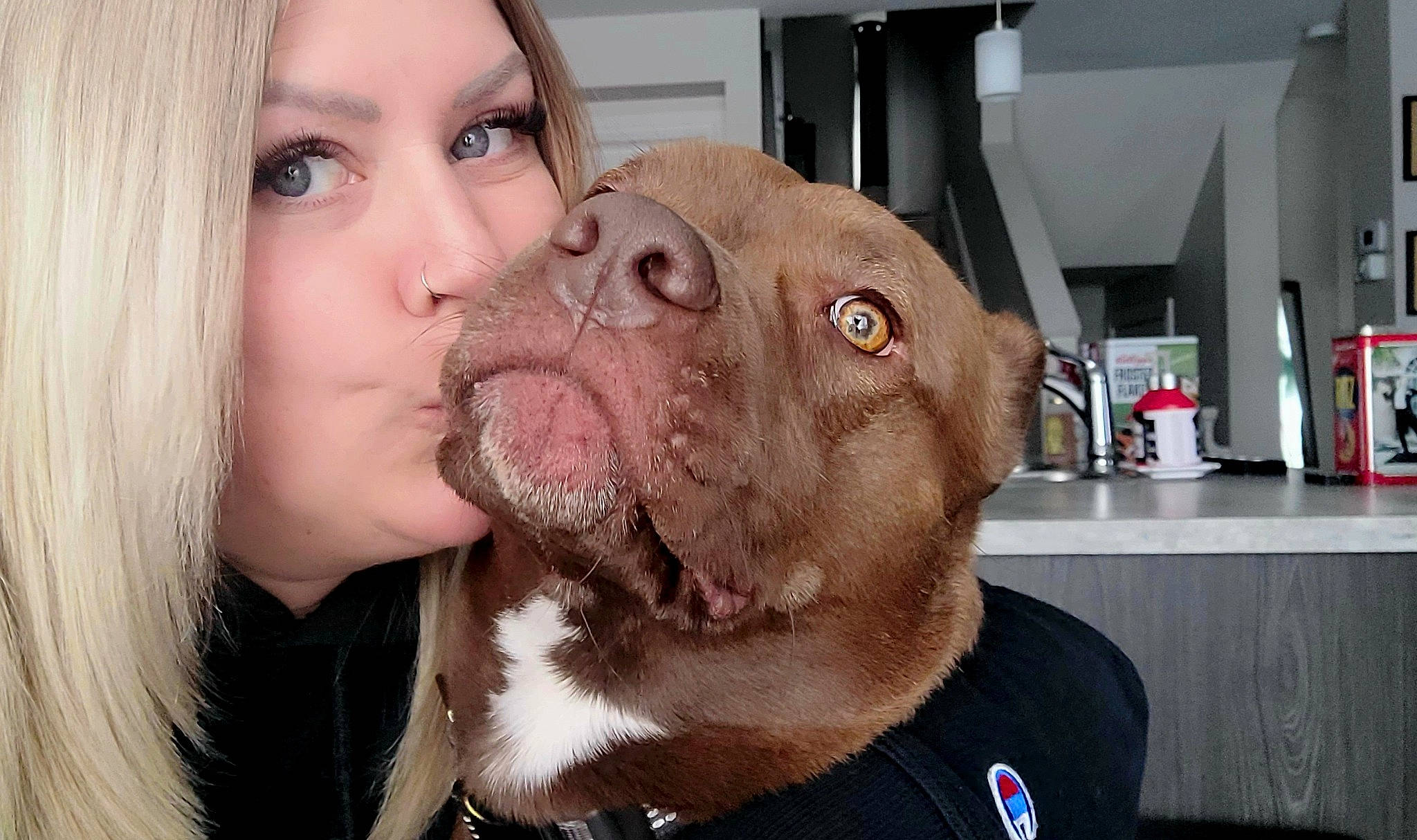 Rigs joined the competition — help win amazing prizes! beard, carnivore, companion_dog, dog, dog_breed, ear, eyebrow, eyelash, fawn, gesture, happy, jaw, kiss, liver, mouth, neck, nose, skin, snout, working_animal