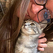 Beanie Weenie is registered to the contest to win money with this photo: affection, brown_hair, cat, closeup, cozy, cute, domestic_animal, face, feline, glasses, hand, indoor, kitten, person, pet, portrait, snuggling, striped_cat, warm_lighting, young