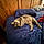 Kitty