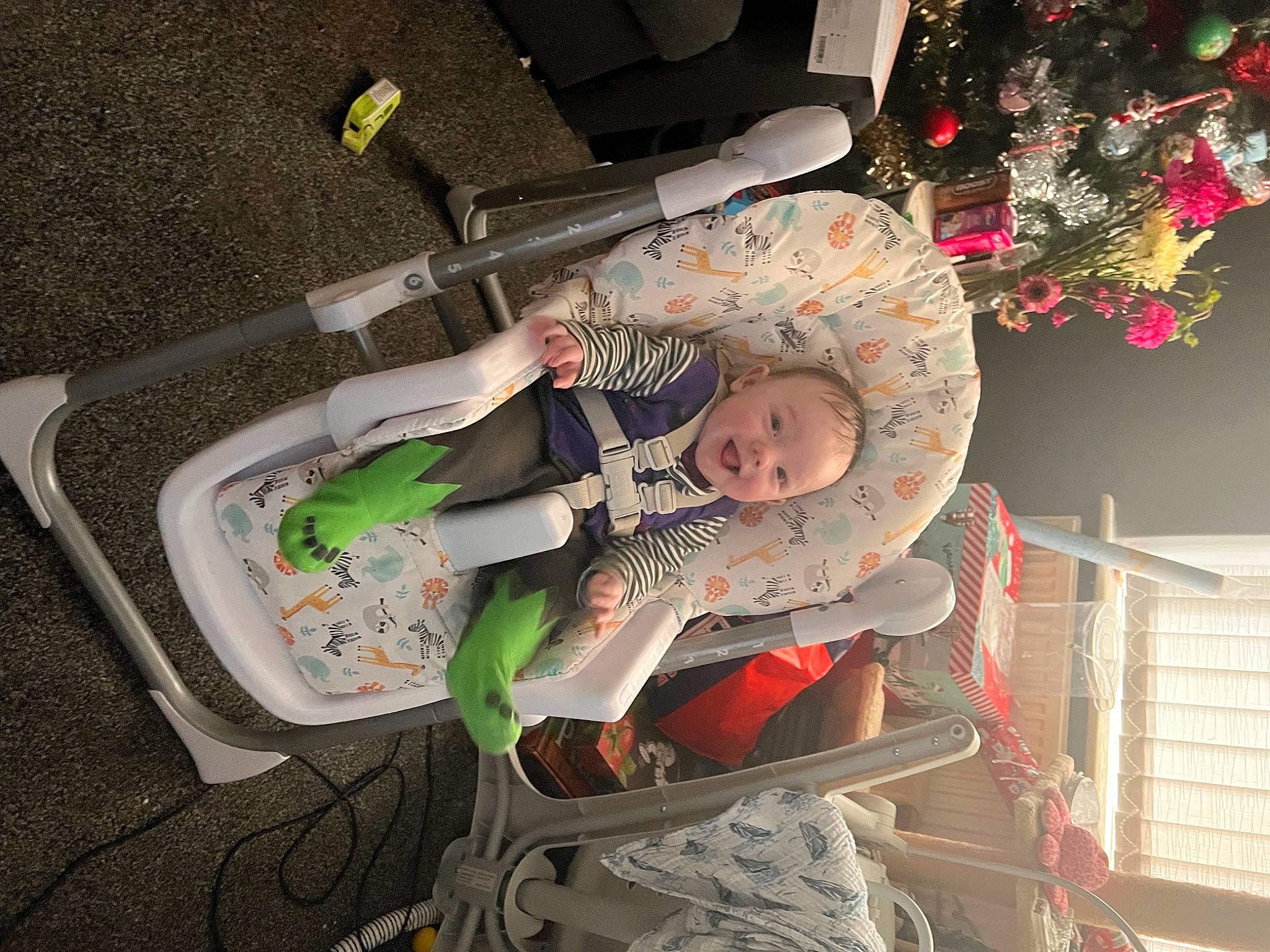 Leighton joined the competition — help win amazing prizes! baby, baby_carriage, baby_products, baby_safety, baby_toddler_clothing, baby_toys, child, comfort, event, fun, infant_bed, ornament, pattern, person, plant, room, toddler, tree