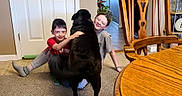 Bailey is registered to the contest to win money with this photo: carpet, casual_clothing, child, dog, door, family, floor, glasses, happy, home, hugging, indoor, light_switch, pet, plant, sitting, smiling, socks, table, wooden_chair