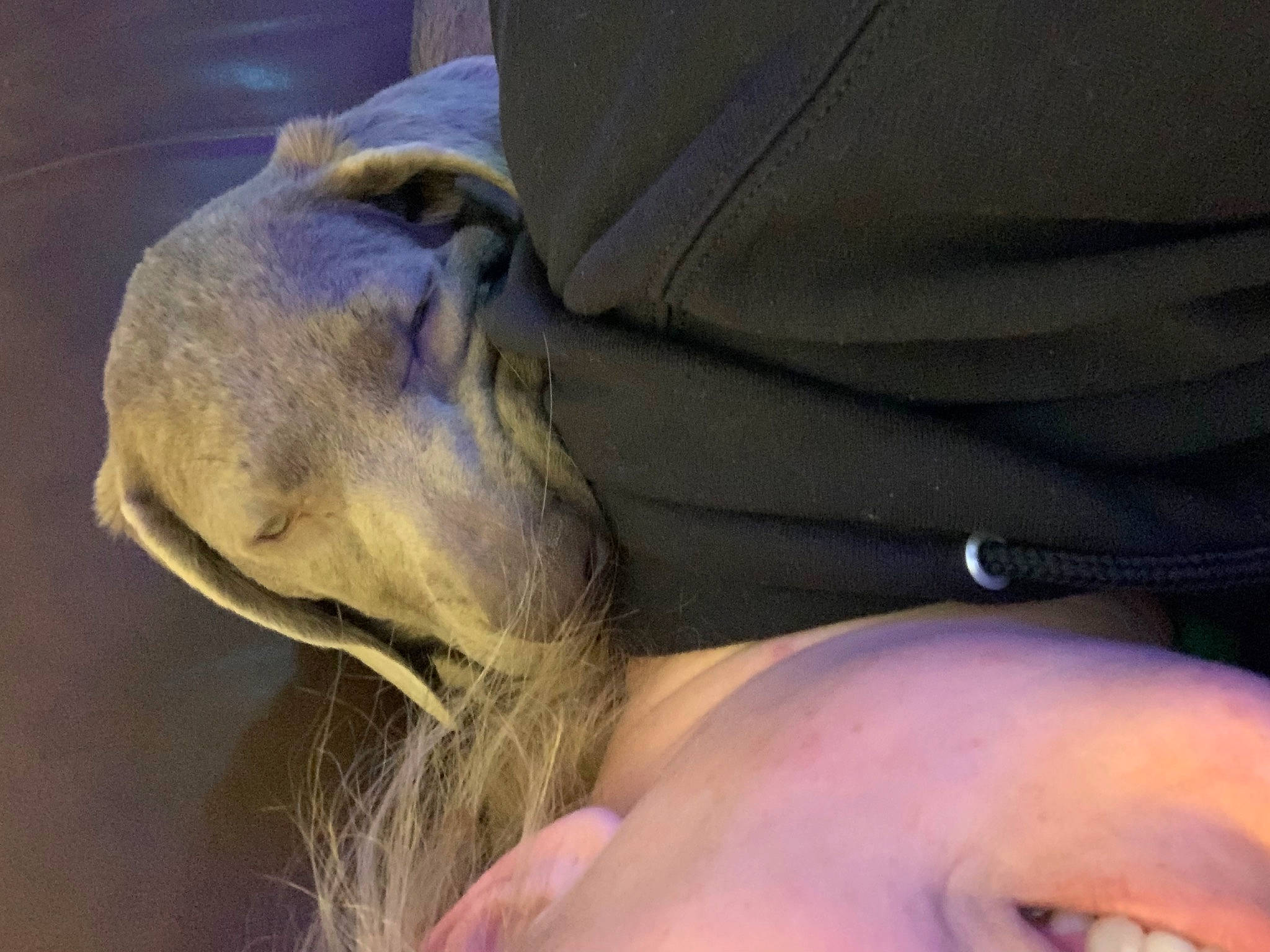 Zuri is registered to the contest to win money with this photo: abdomen, beard, chest, elbow, eyewear, finger, flesh, gesture, hat, human_leg, jaw, nail, neck, skin, soil, sunglasses, thumb, wrinkle, wrist