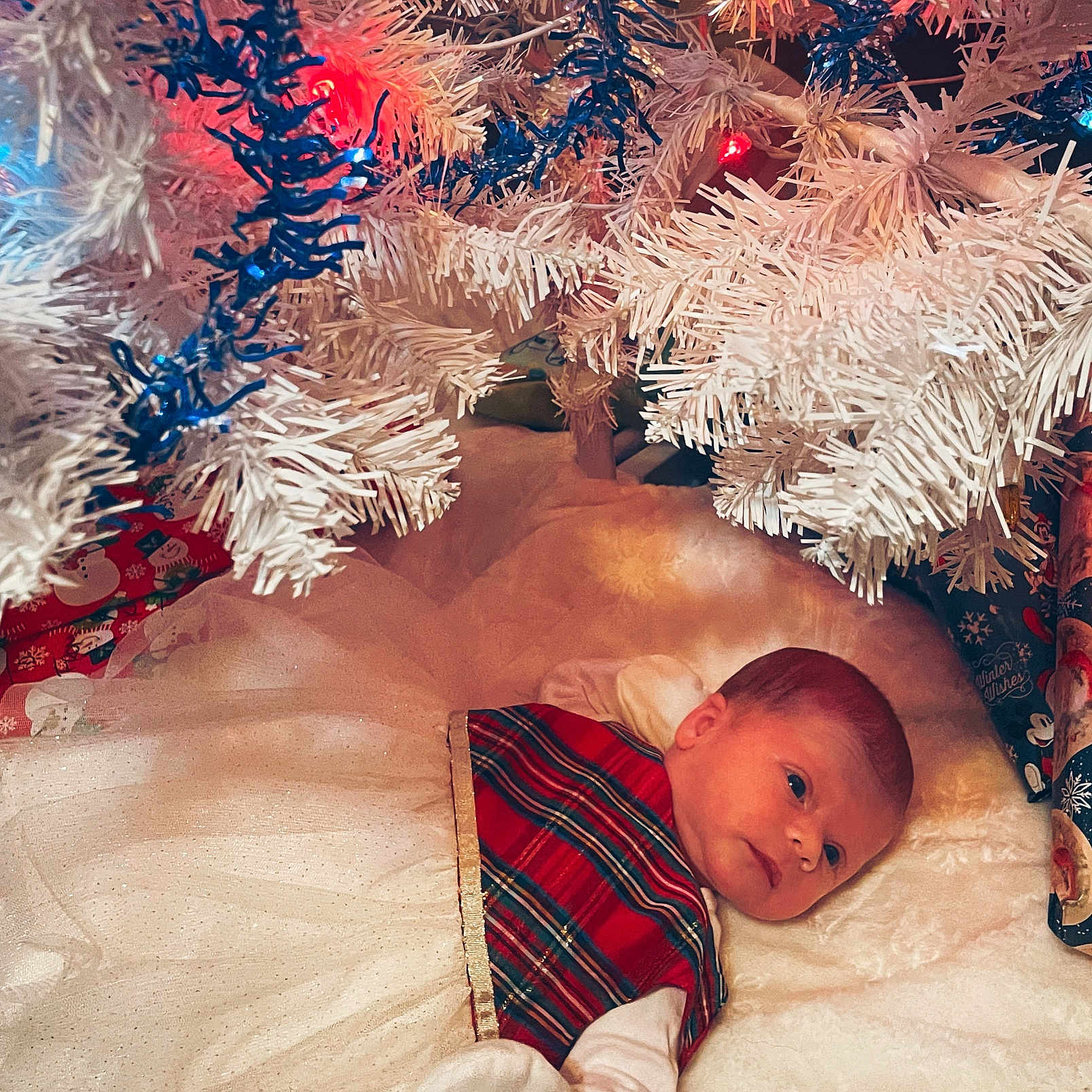 Idalia joined the competition — help win amazing prizes! baby, celebration, christmas, christmas_tree, closeup, colorful_lights, cute, festive, holiday_decor, holiday_lights, indoors, infant, lying_down, mittens, peaceful, plaid_dress, presents, soft_texture, tree_skirt, white_tree