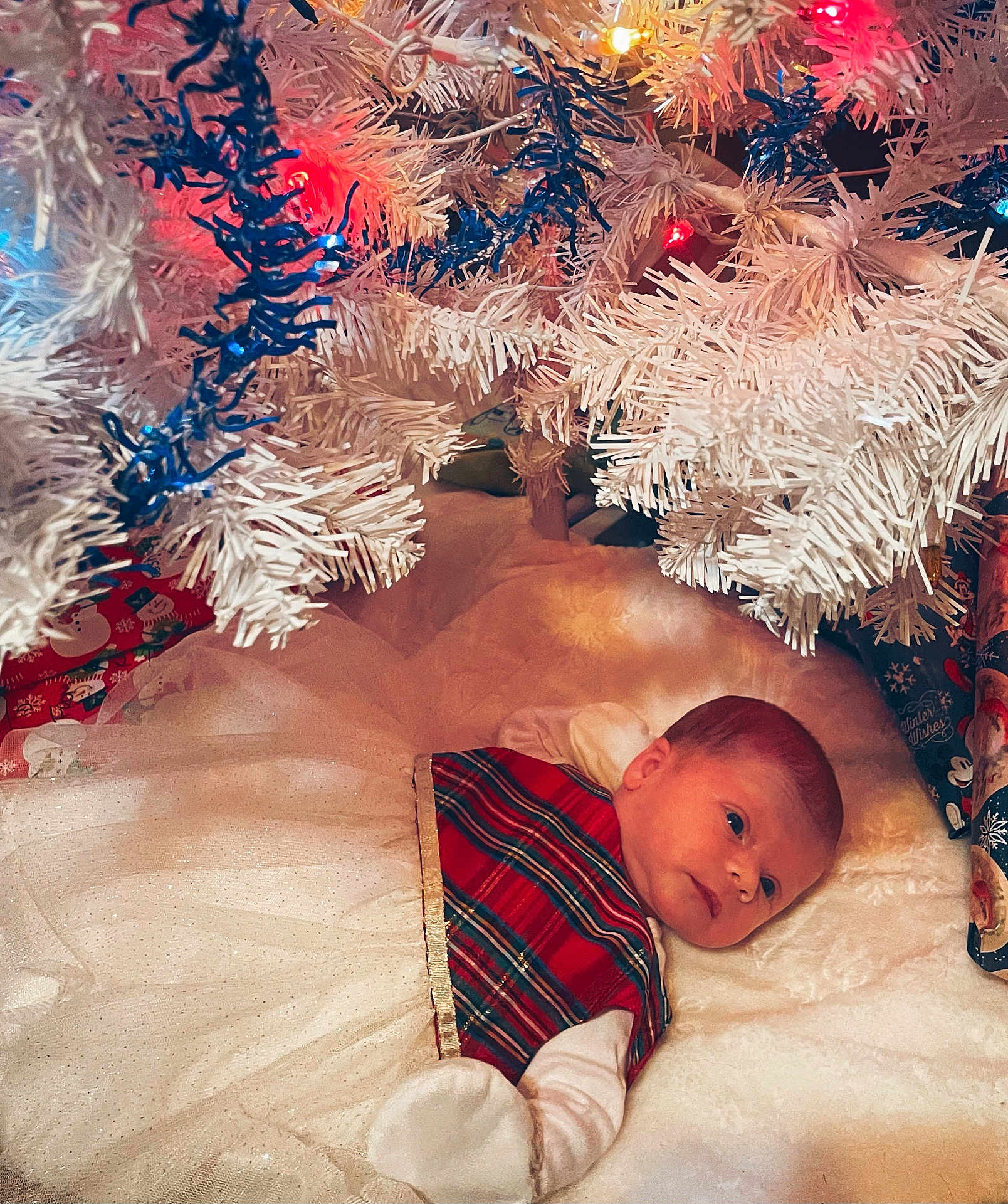 Idalia joined the competition — help win amazing prizes! baby, celebration, christmas, christmas_tree, closeup, colorful_lights, cute, festive, holiday_decor, holiday_lights, indoors, infant, lying_down, mittens, peaceful, plaid_dress, presents, soft_texture, tree_skirt, white_tree
