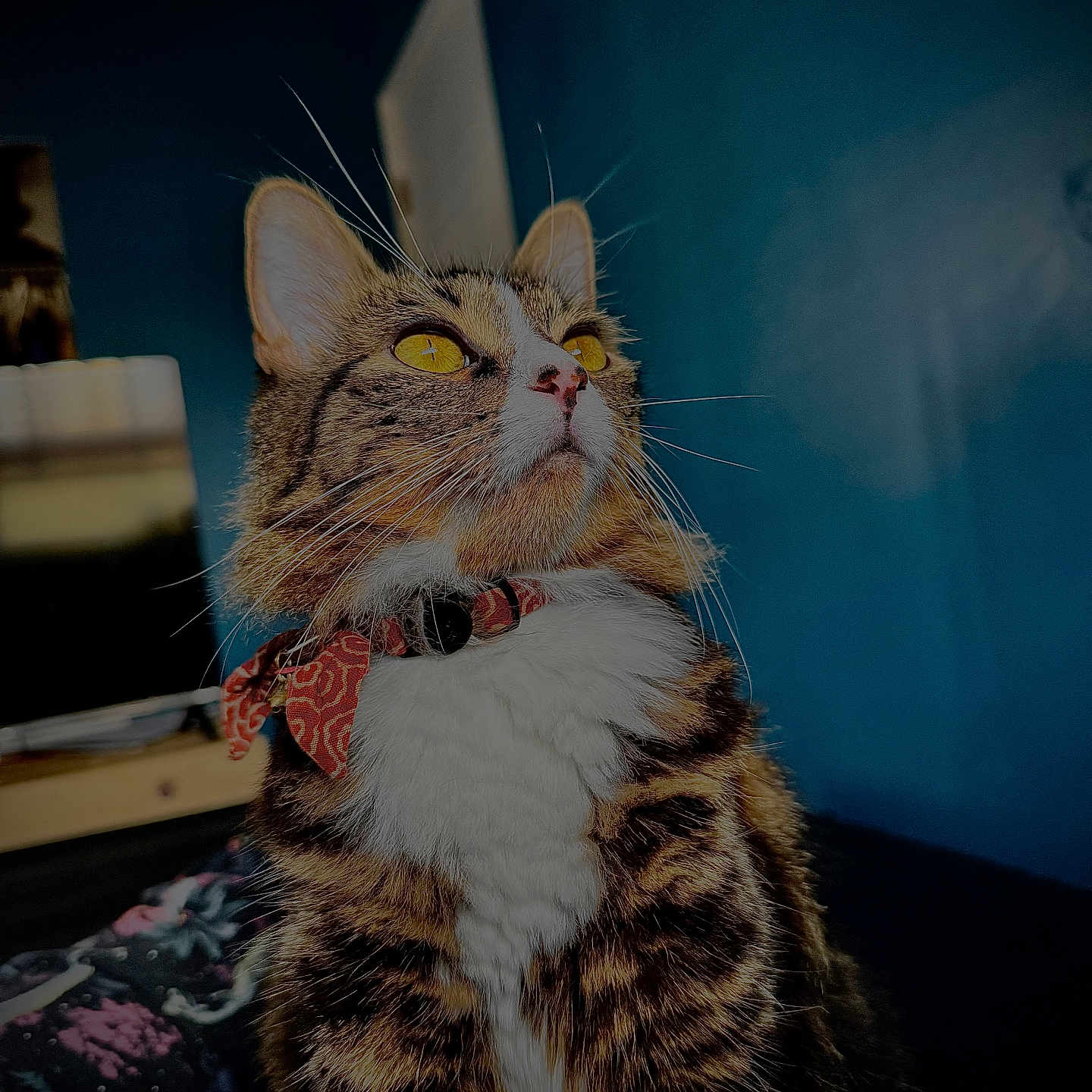 Tigress