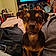 Rocky