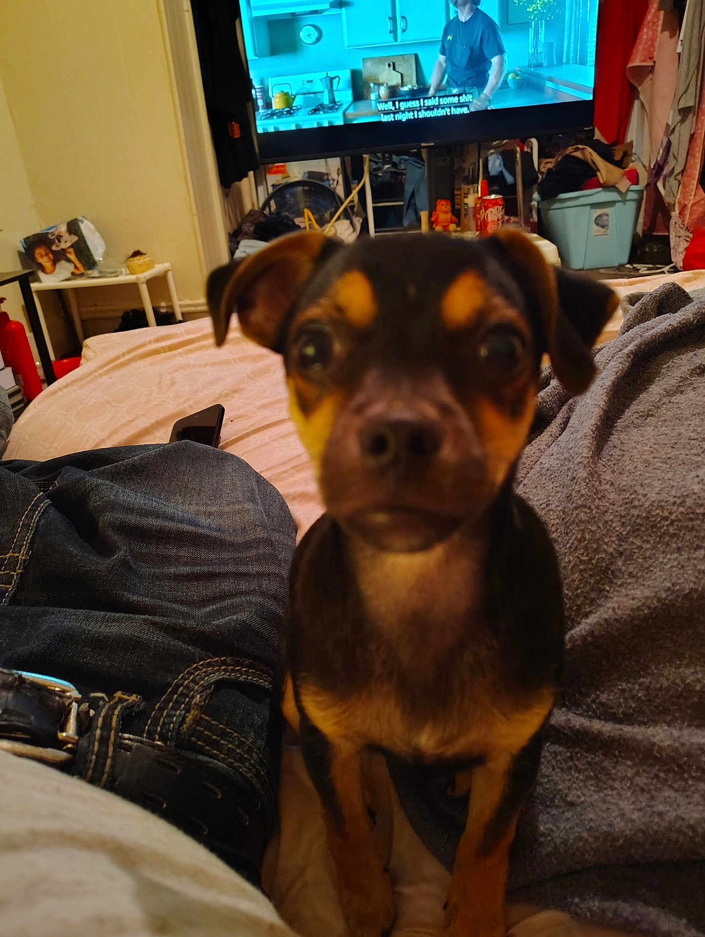 Rocky