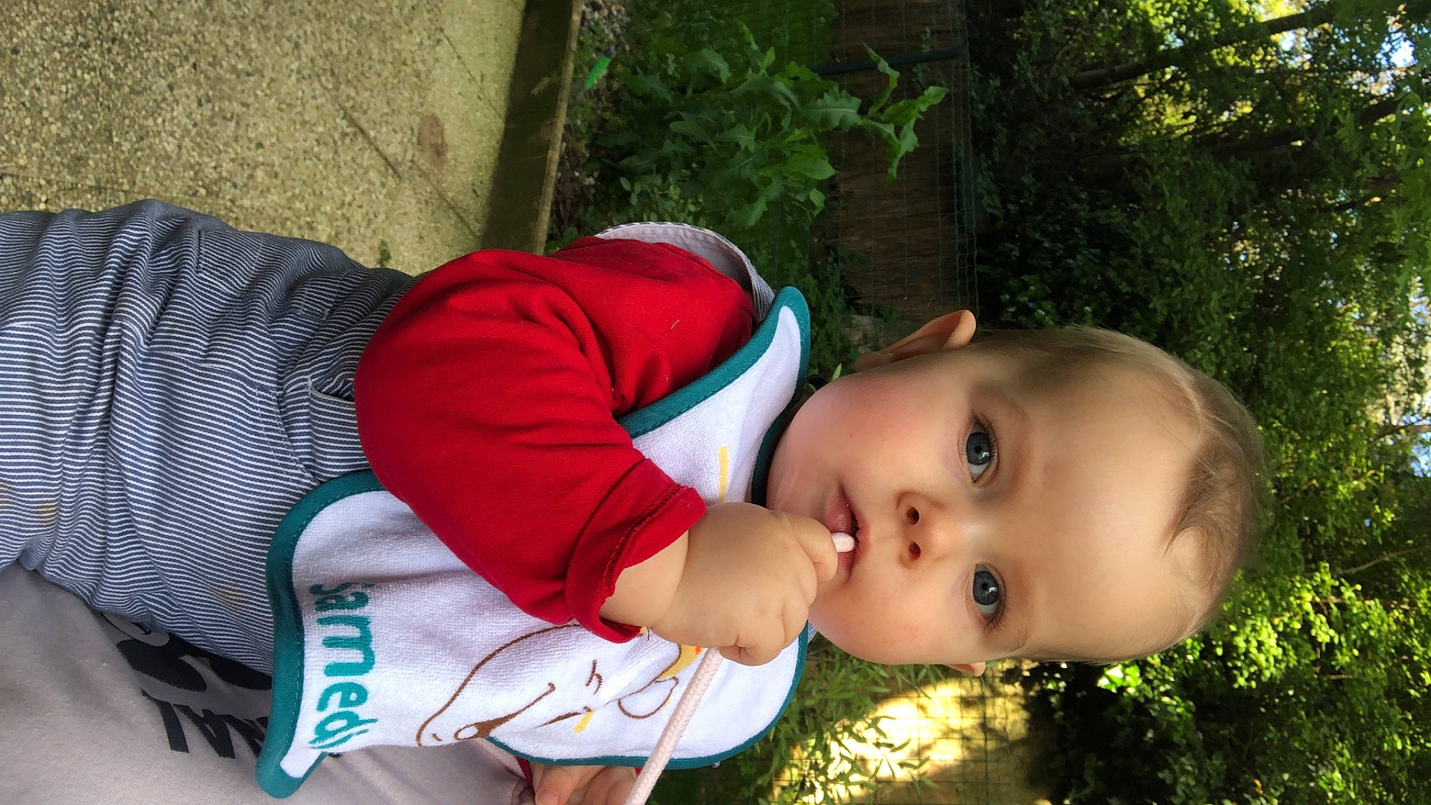 Enea participe au concours pour gagner de l'argent avec cette photo : baby, baby_toddler_clothing, carmine, child, eye, facial_expression, fun, garden, grass, happy, leisure, nose, people_in_nature, person, plant, recreation, sitting, toddler, tree