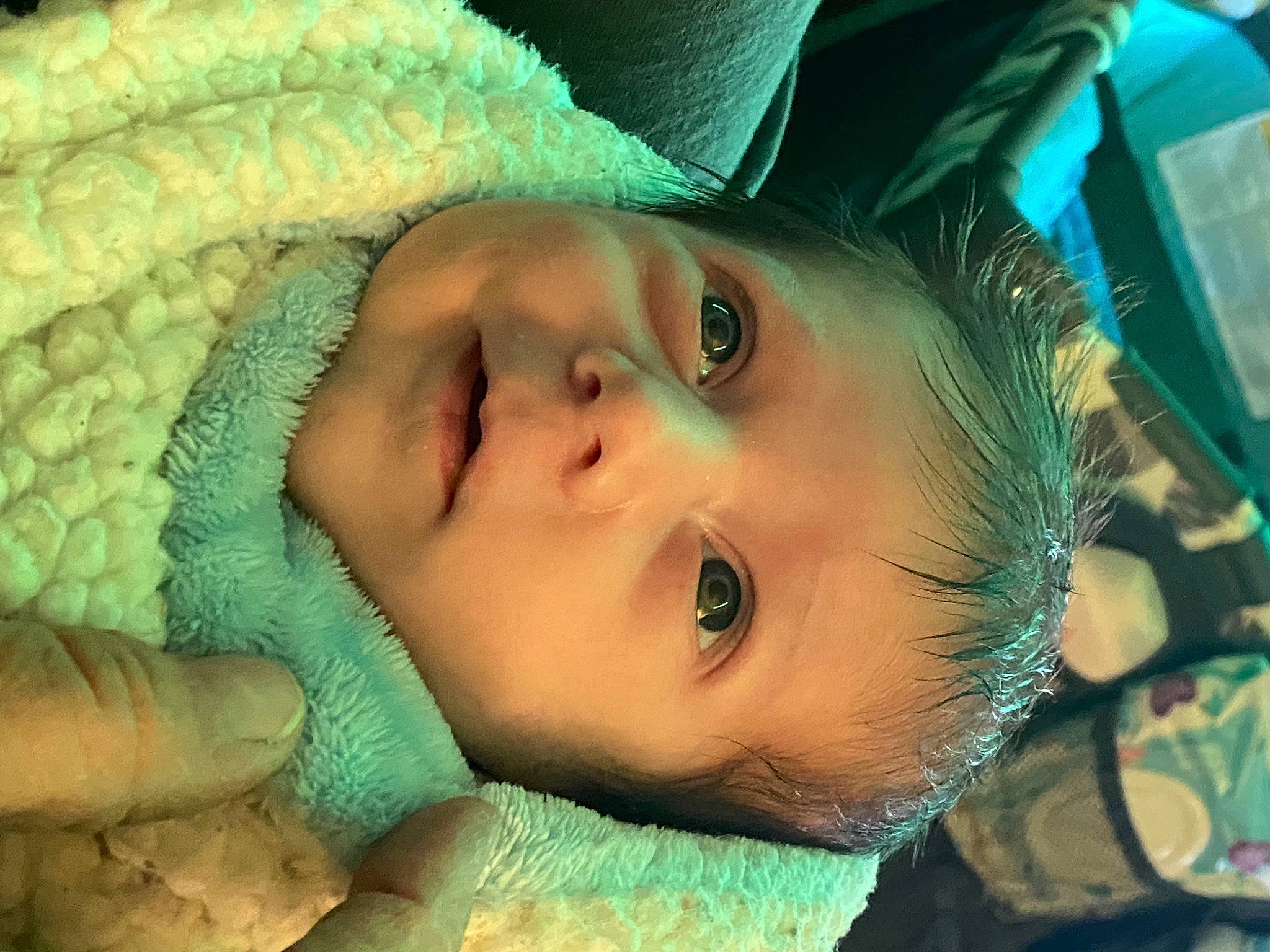 Weston joined the competition — help win amazing prizes! azure, cheek, chin, ear, eye, eyebrow, eyelash, facial_expression, forehead, hair, human_body, iris, lip, mammal, mouth, nose, organ, organism, person, skin