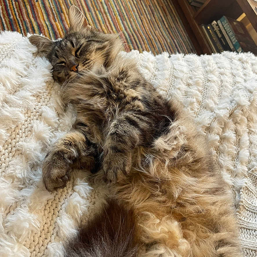 Kiki