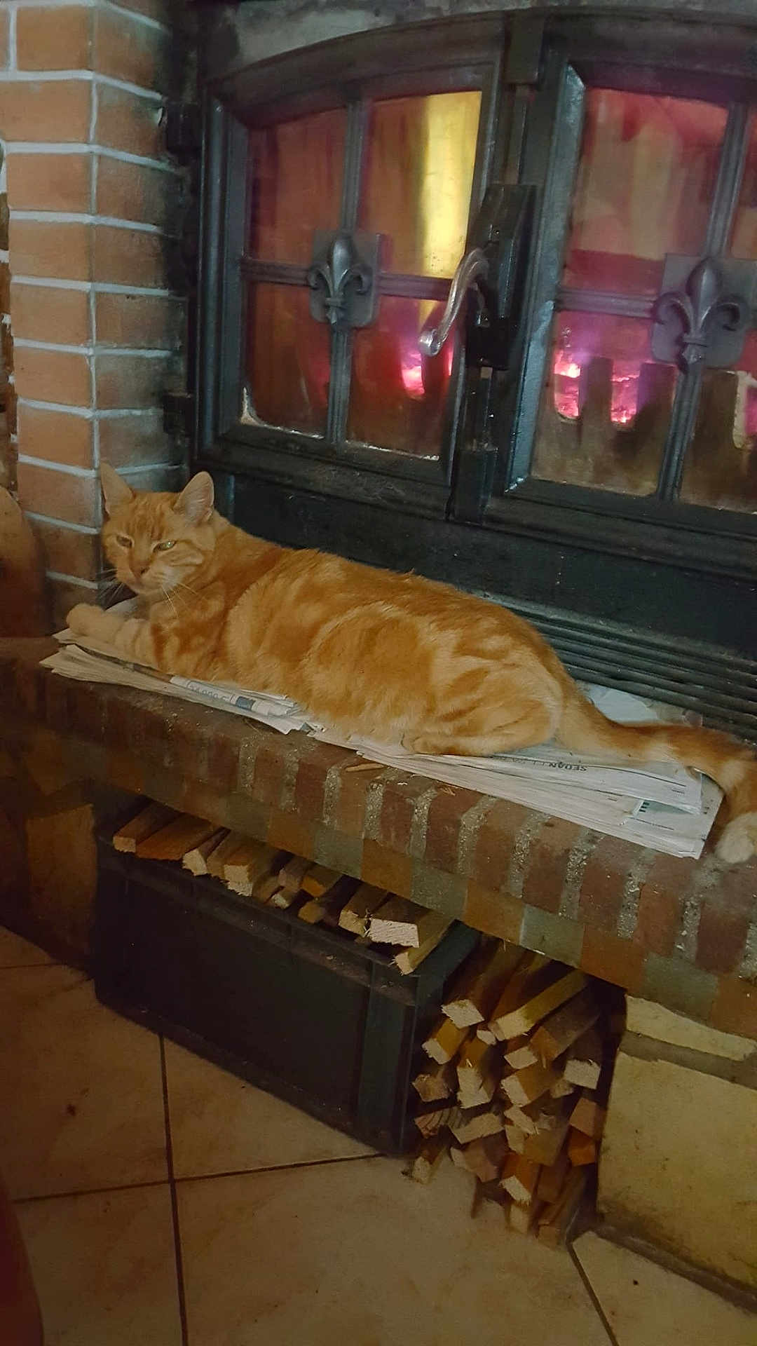 Faddah participe au concours pour gagner de l'argent avec cette photo : animal, architecture, box, brick, building, canine, cat, couch, fireplace, furniture, hardwood, indoors, interiordesign, kitten, livingroom, person, pet, room, sleeping, wood