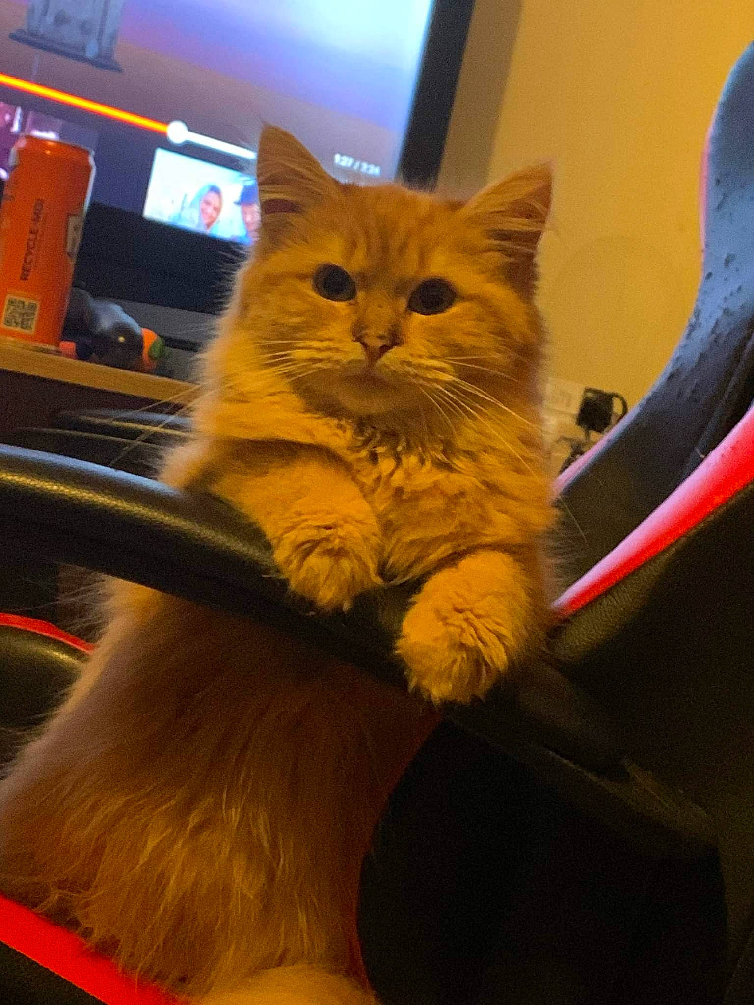 Mia