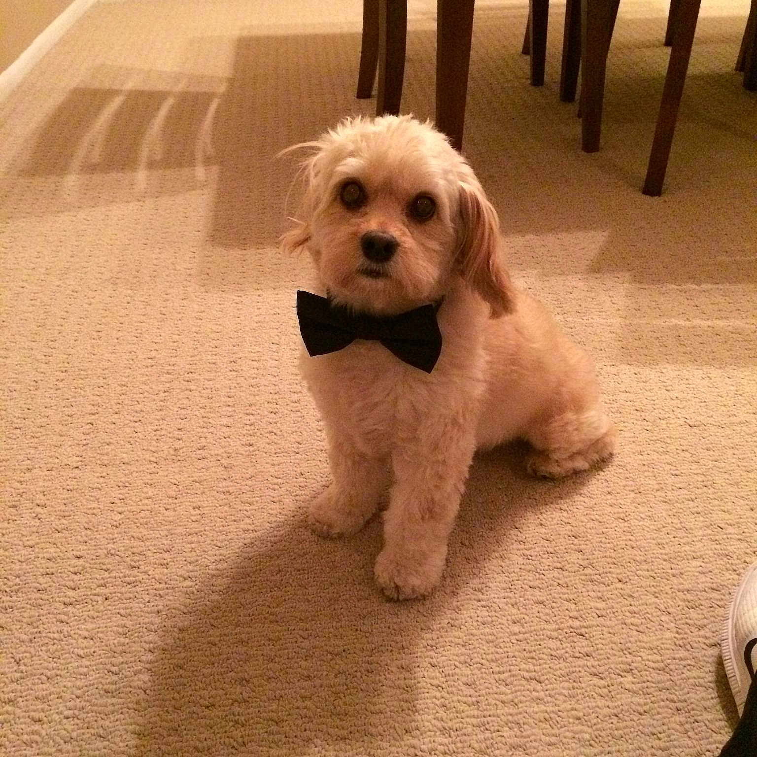Bailey
