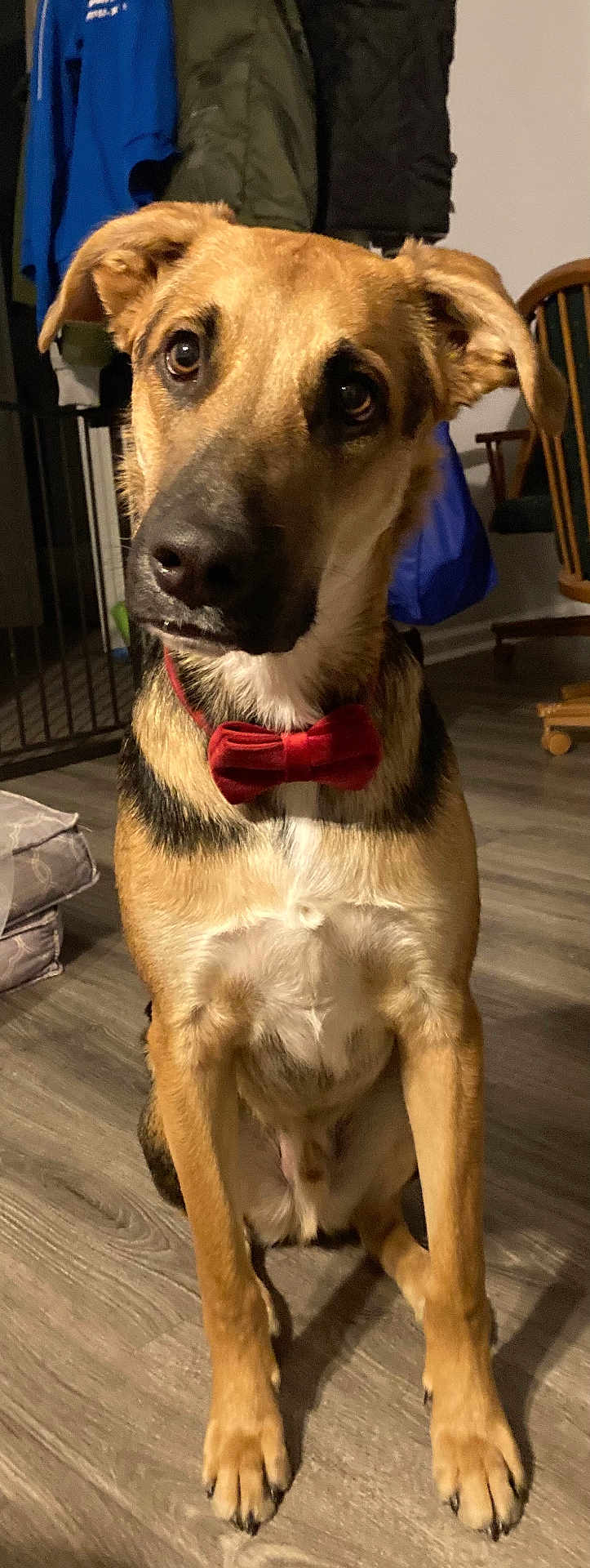 Max