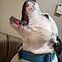 dog, canine, pet, collar, blue_collar, white_fur, black_spot, closeup, portrait, mouth_open, teeth, tongue, yawning, barking, ear, couch, stitching, indoor, wall, metal_buckle