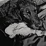 dog, stuffed_toy, black_and_white, bed, cushion, pet, animal, fur, close_up, indoors, resting, cute, sleepy, soft_texture, companion, comfort, domestic, mammal, relaxed, toy