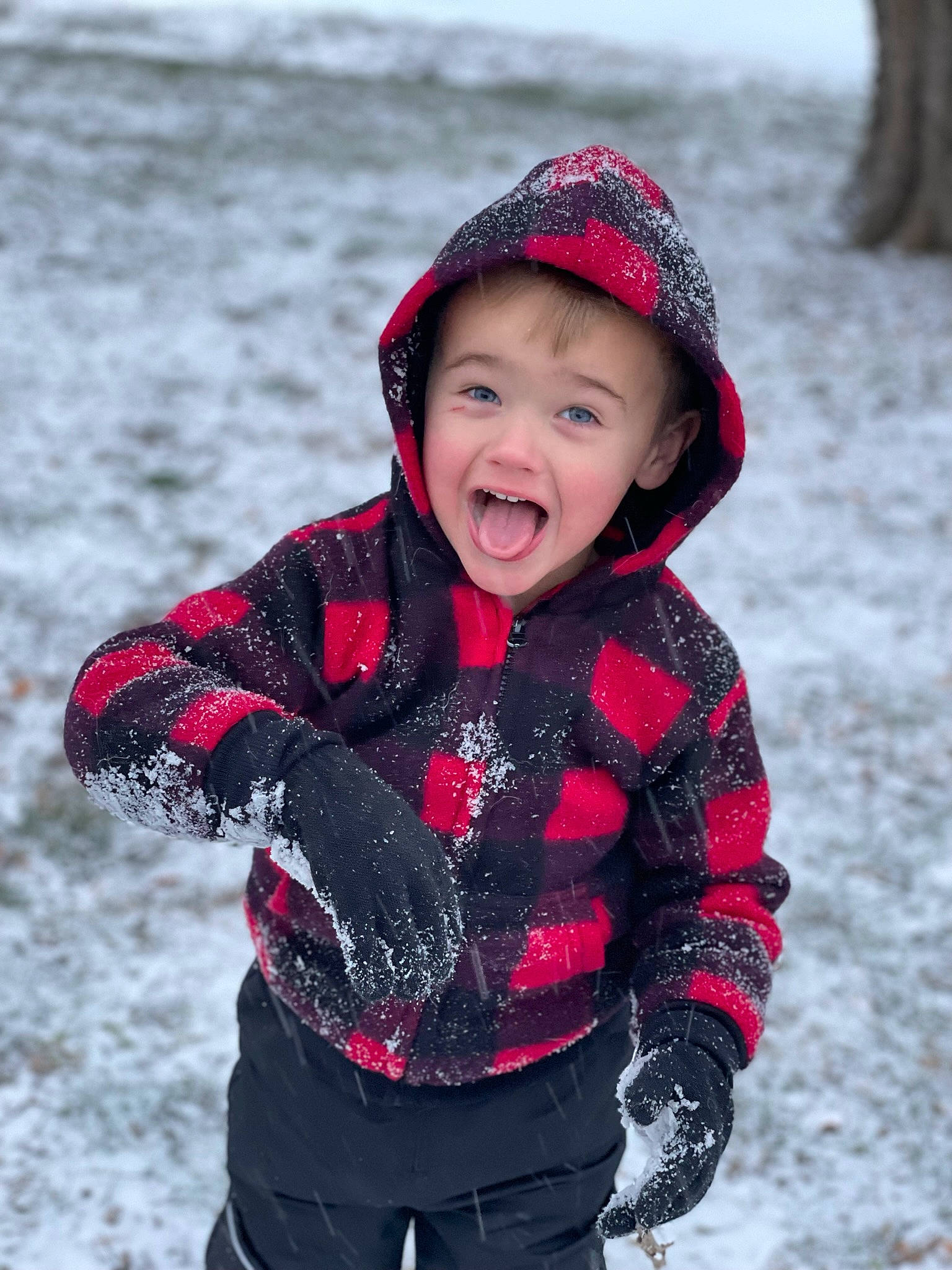 Donnie joined the competition — help win amazing prizes! baby, baby_toddler_clothing, black, cap, child, clothing, face, freezing, fun, happy, headwear, magenta, pattern, person, personal_protective_equipment, recreation, sleeve, smile, snow, toddler