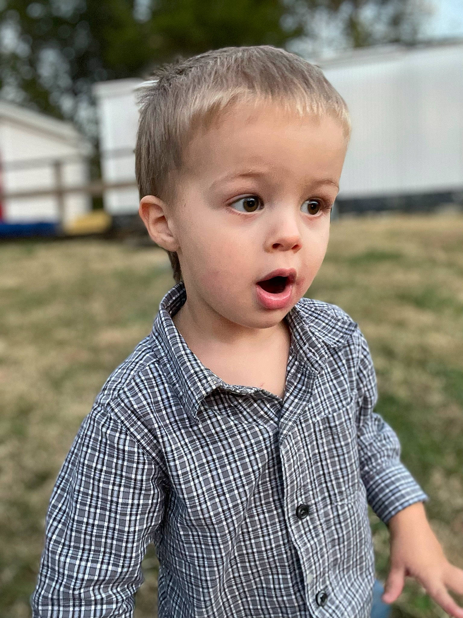 Sal joined the competition — help win amazing prizes! blond, caesar_cut, child, collar, dress_shirt, face, flash_photography, grass, happy, lip, nose, pattern, people_in_nature, person, plaid, plant, sleeve, surprise, t_shirt, tartan