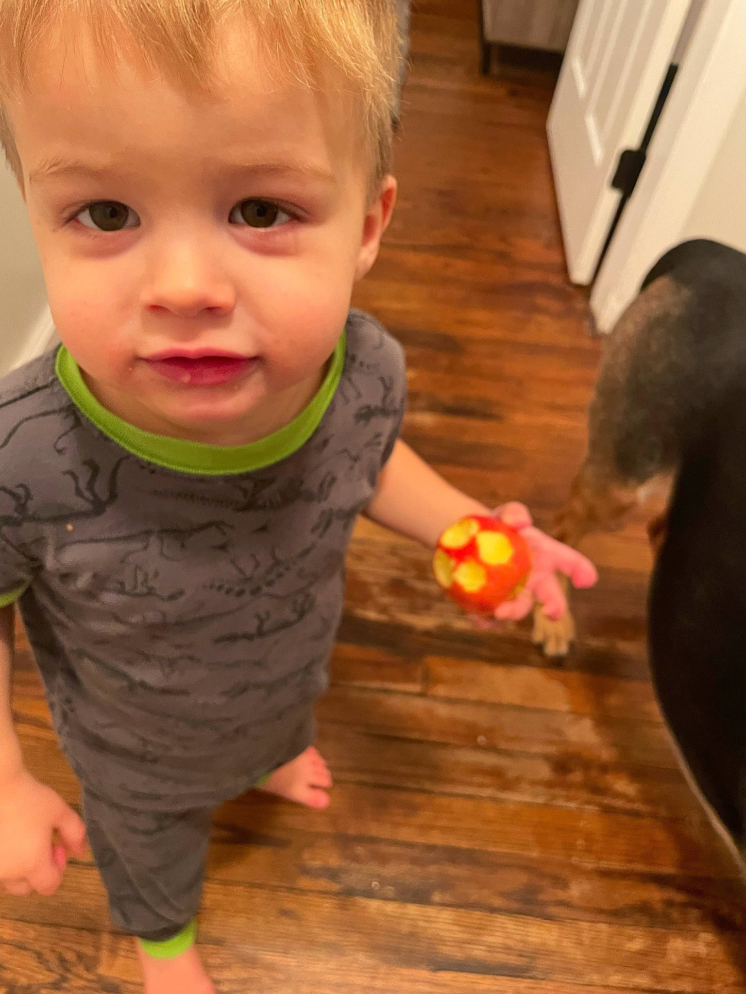 Sal joined the competition — help win amazing prizes! baby_toddler_clothing, cheek, child, finger, floor, flooring, fun, happy, hardwood, iris, nose, person, skin, sleeve, standing, thumb, toddler, varnish, wood, wood_flooring