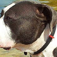 Hulk a rejoint le concours — aidez-le/la à gagner de superbes lots !