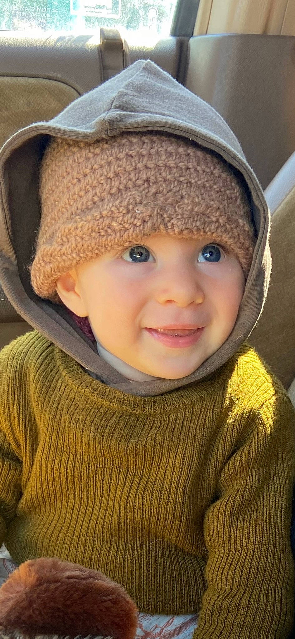 Arlo