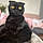 Berlioz