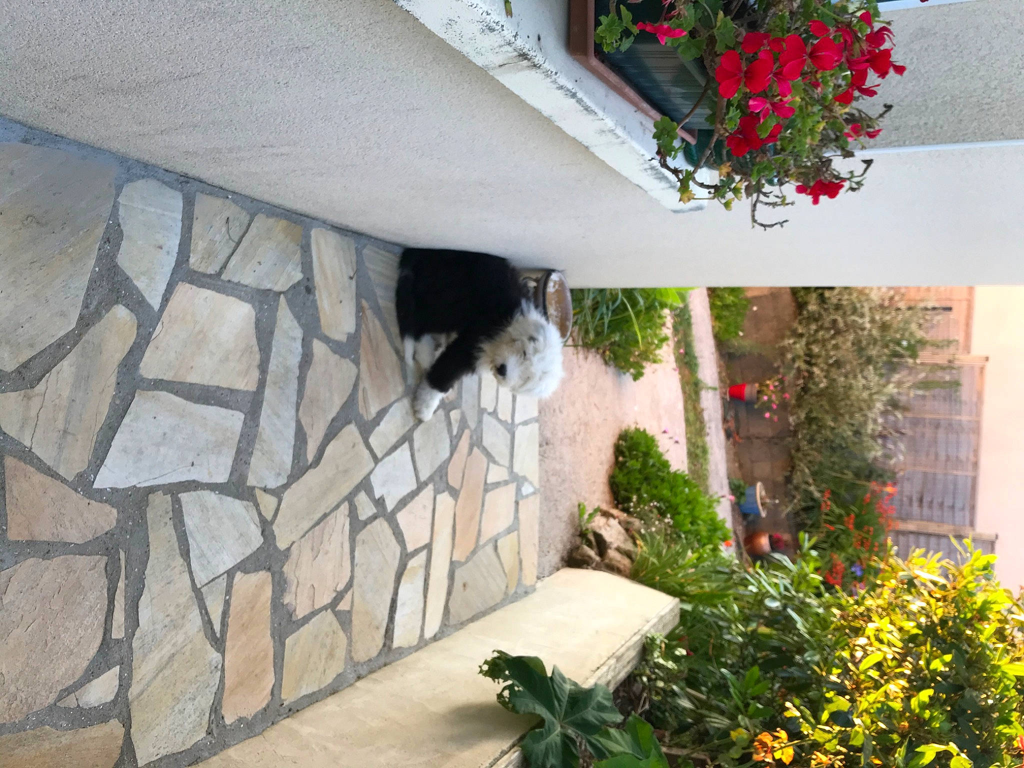 Roucky a rejoint le concours — aidez-le/la à gagner de superbes lots ! architecture, building, concrete, facade, flagstone, flower, home, house, landscape, plant, stone_wall, wall, window