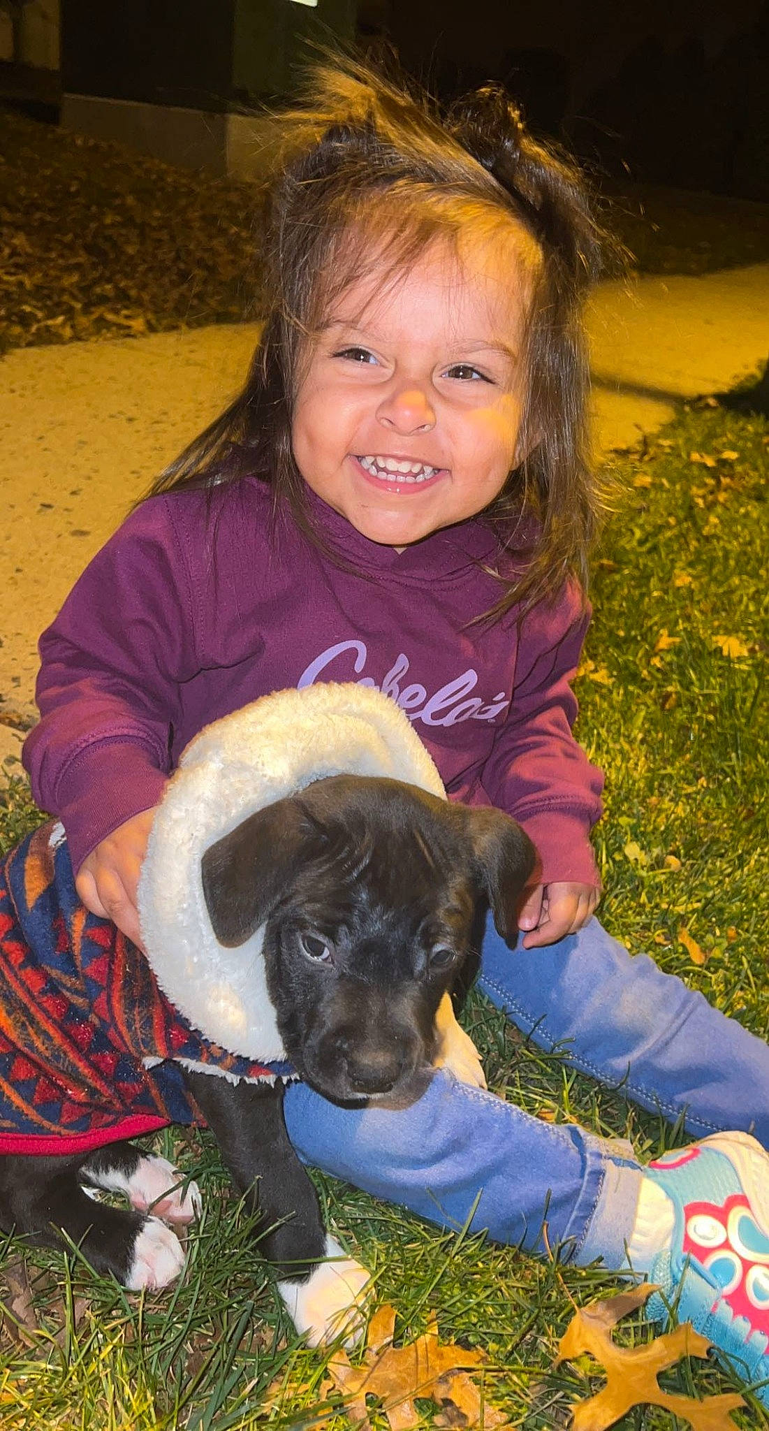 Autumn is registered to the contest to win money with this photo: canidae, carnivore, child, companion_dog, dog, dog_breed, event, fawn, fun, grass, happy, hat, joy, lap, organ, people_in_nature, person, plant, smile, sporting_group