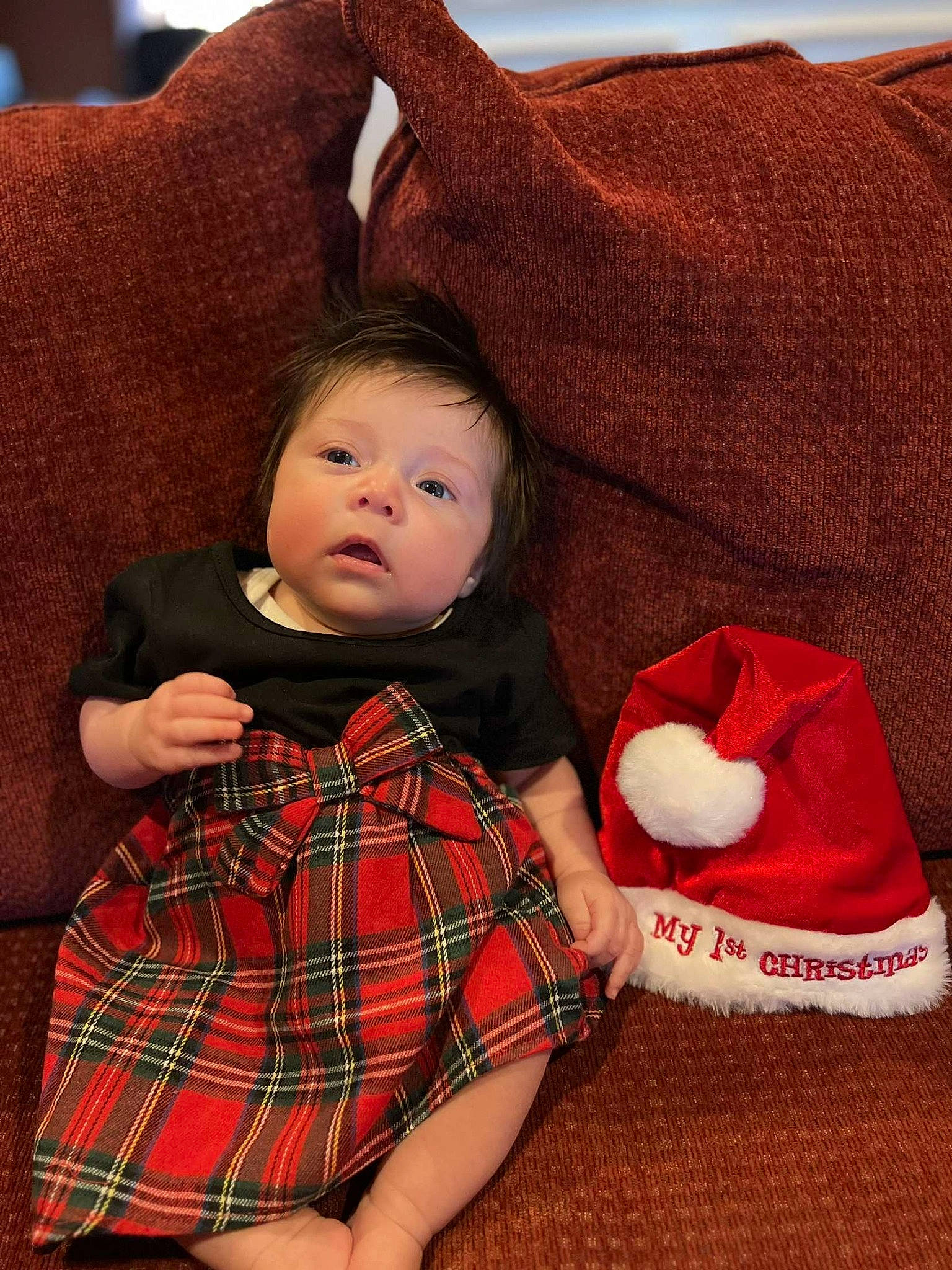 Sammy joined the competition — help win amazing prizes! baby, baby_toddler_clothing, beauty, child, christmas, comfort, dress, human_leg, lap, mammal, person, plaid, red, skin, sleeve, sock, tartan, textile, thigh, toddler