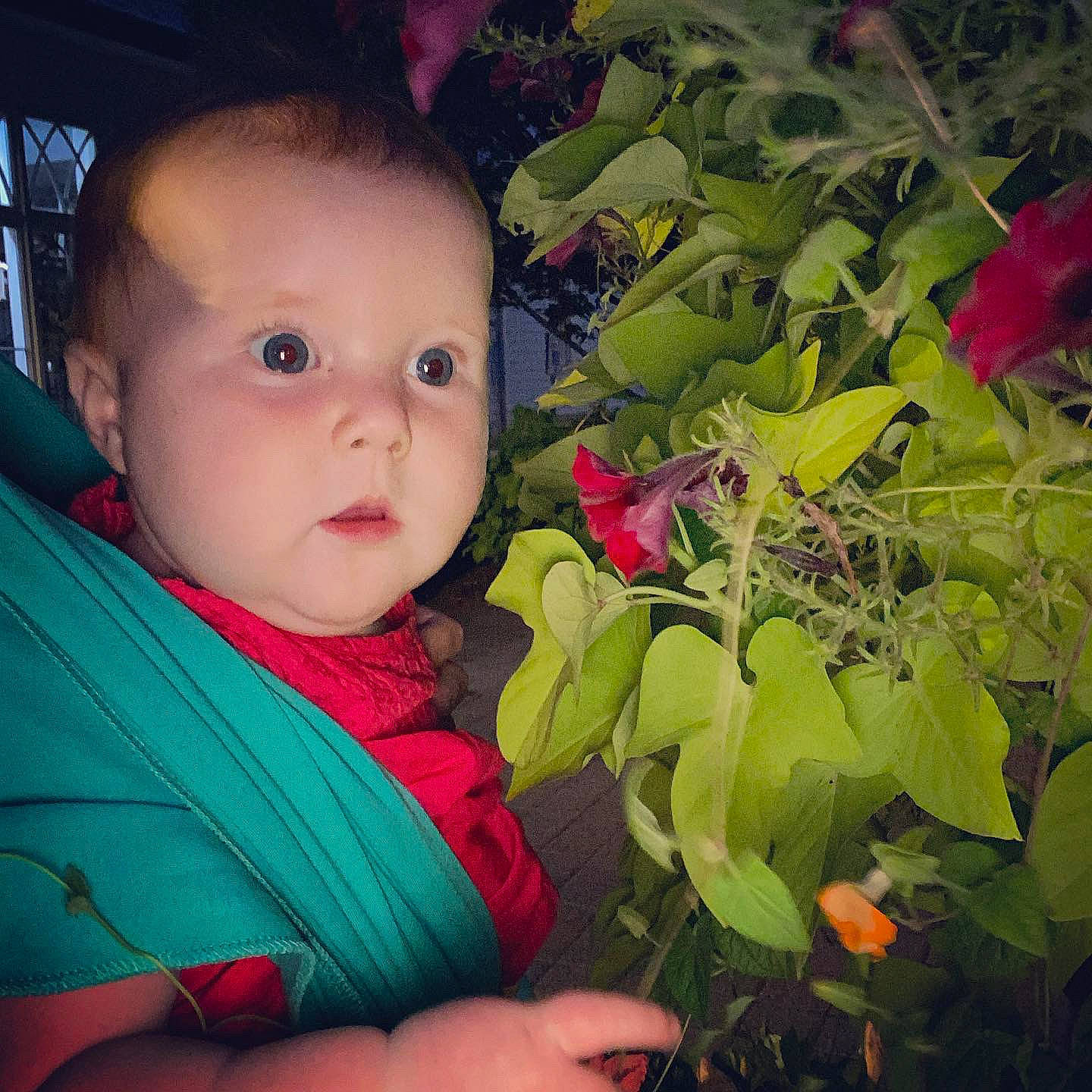 Emelia joined the competition — help win amazing prizes! adaptation, baby, baby_toddler_clothing, cheek, child, cool, fun, grass, happy, iris, lip, mouth, people_in_nature, person, petal, pink, plant, skin, tints_and_shades, toddler