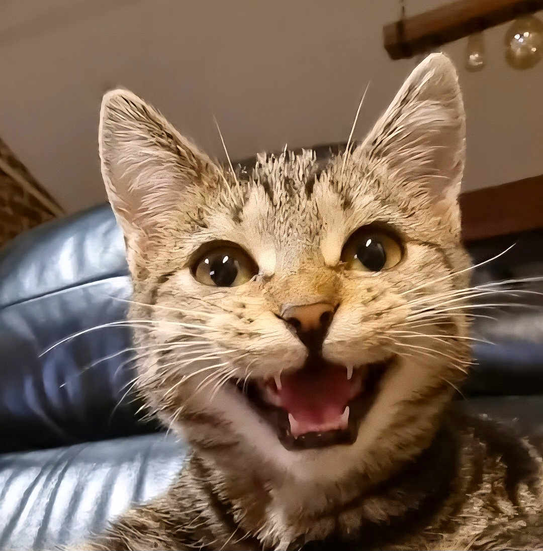 Simone