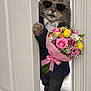 cat, feline, sunglasses, bouquet, flowers, suit, blazer, doorway, peeking, paw, standing, indoor, whiskers, roses, daisies, pink_ribbon, carpet, formal_wear, humorous, portrait