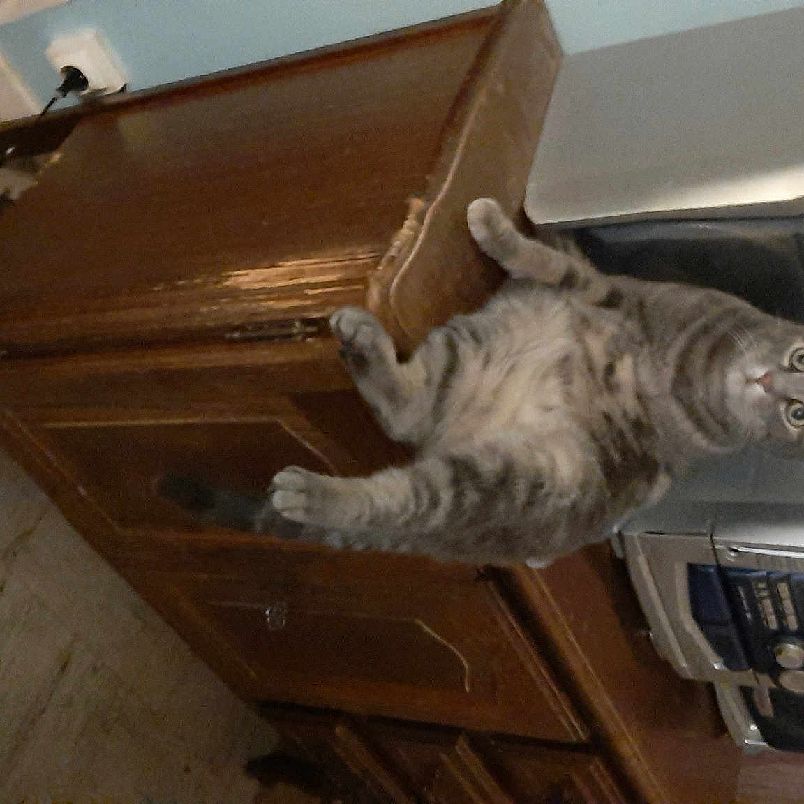 Poupette