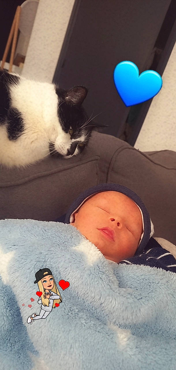 Sacha participe au concours pour gagner de l'argent avec cette photo : baby_sleeping, baby_toddler_clothing, balloon, carnivore, cat, comfort, felidae, happy, head, leg, light, mammal, organ, person, photograph, small_to_medium_sized_cats, textile, thigh, vertebrate, whiskers