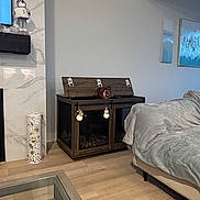 Snicker joined the competition — help win amazing prizes! dog, crate, wood_floor, living_room, couch, blanket, decorations, snowman, reindeer, wall_art, fireplace, glass_table, water_bottle, modern_interior, pet, holiday, furniture, indoor, curious, cozy