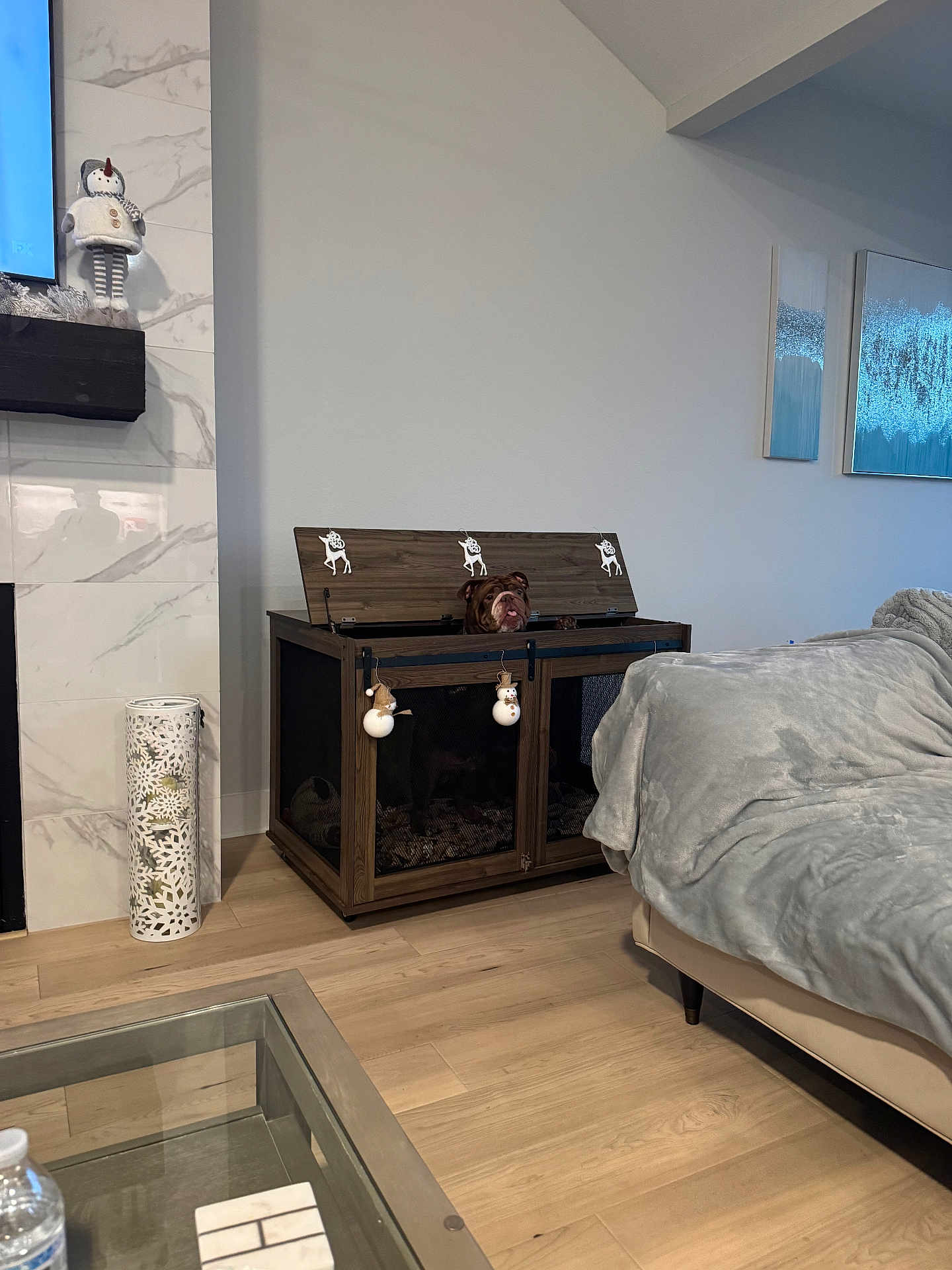 Snicker joined the competition — help win amazing prizes! dog, crate, wood_floor, living_room, couch, blanket, decorations, snowman, reindeer, wall_art, fireplace, glass_table, water_bottle, modern_interior, pet, holiday, furniture, indoor, curious, cozy