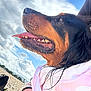 dog, beach, sand, sky, clouds, towel, tongue_out, close_up, outdoor, sunny, happy, animal, pet, black_and_brown, fur, human_hand, accessory, nature, daytime, portrait