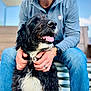 dog, person, outdoor, bench, blue_sky, casual_clothing, happy, tongue_out, pet, black_and_white, fur, hands, jeans, smile, portrait, sitting, daylight, closeup, watch, ring