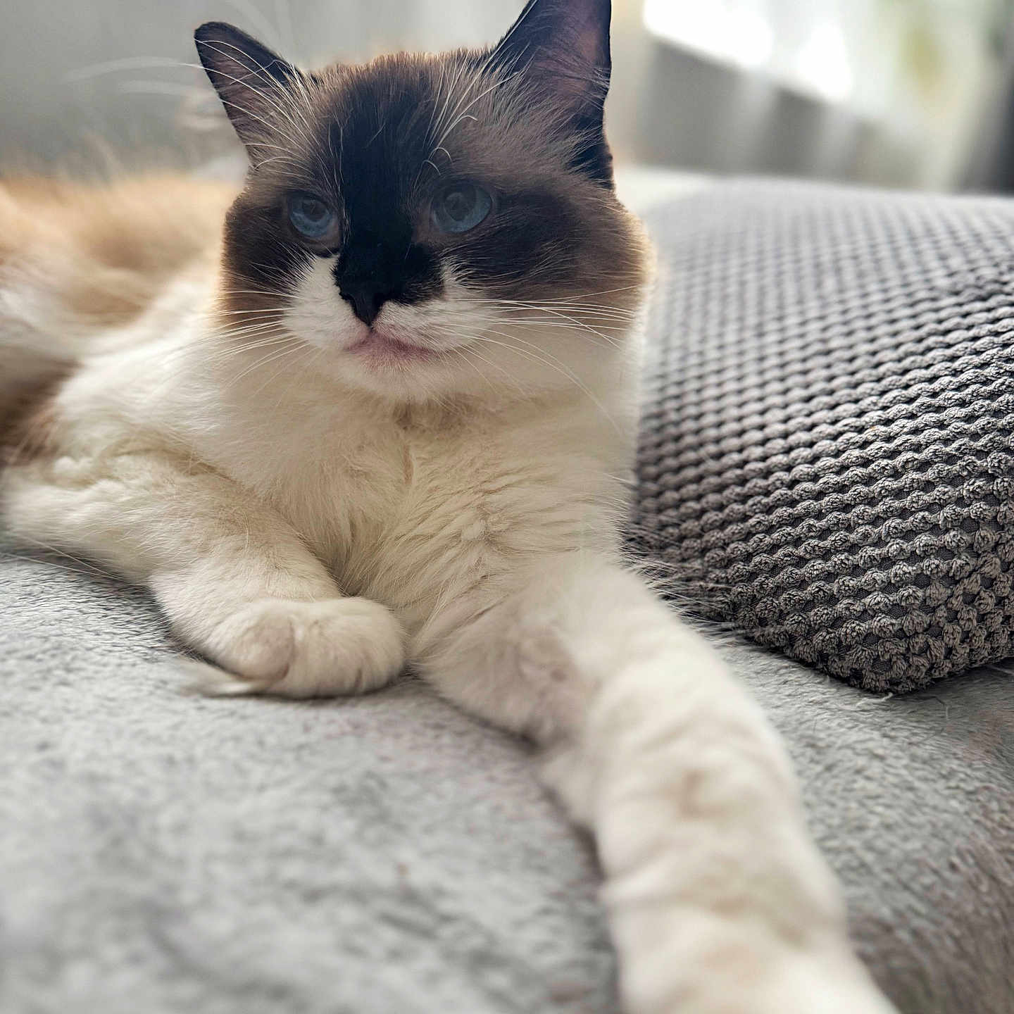 Hera