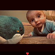 Tom participe au concours pour gagner de l'argent avec cette photo : baby, plush_toy, whale, couch, indoor, curious, wide_eyes, child, soft_toy, furniture, cozy, infant, portrait, casual_clothing, close_up, floor, person, home, cute, expression