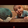 baby, plush_toy, whale, couch, indoor, curious, wide_eyes, child, soft_toy, furniture, cozy, infant, portrait, casual_clothing, close_up, floor, person, home, cute, expression