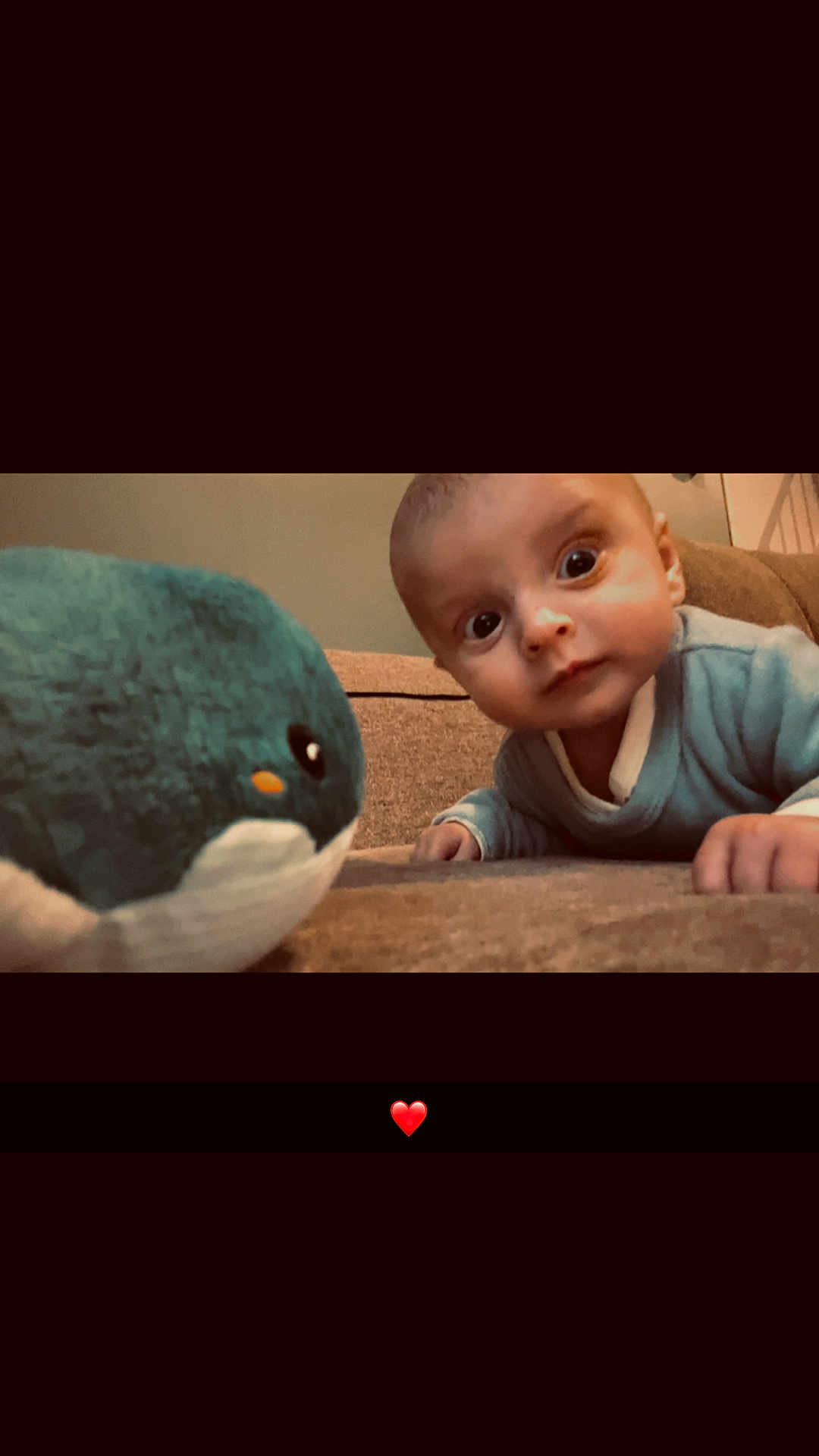 Tom participe au concours pour gagner de l'argent avec cette photo : baby, plush_toy, whale, couch, indoor, curious, wide_eyes, child, soft_toy, furniture, cozy, infant, portrait, casual_clothing, close_up, floor, person, home, cute, expression