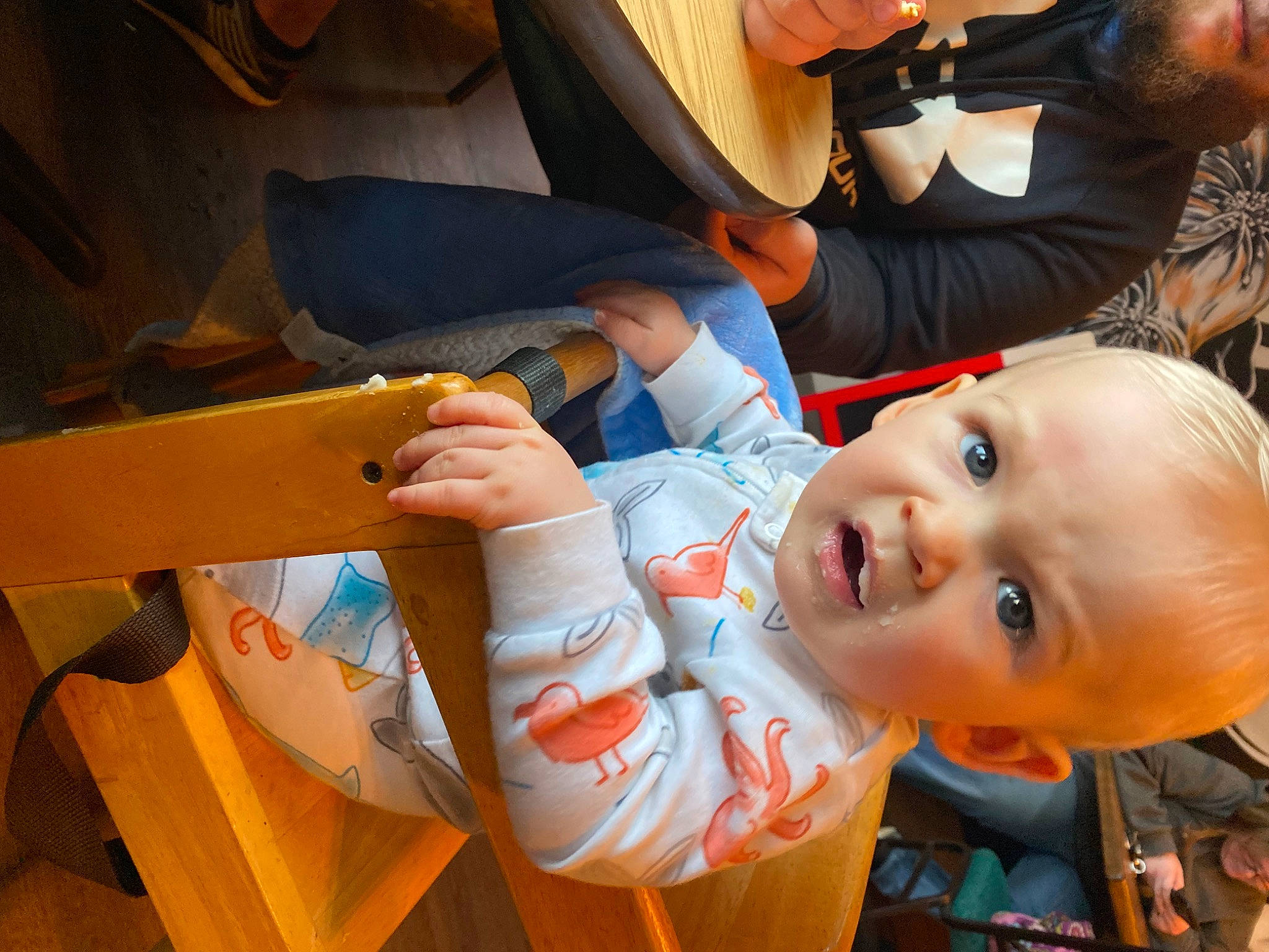 Wyatt is registered to the contest to win money with this photo: baby, baby_carriage, baby_products, chair, child, finger, fun, hairstyle, happy, leisure, mouth, orange, person, plant, sitting, skin, smile, snapshot, toddler, tree